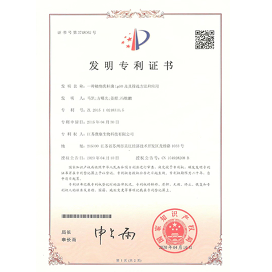 陜西英童——發明專利證書
